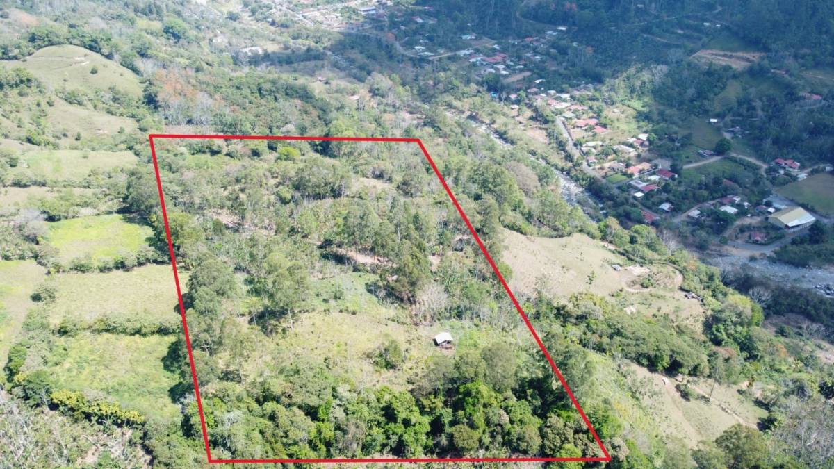 Finca 3.5 ha en Rivas, Pérez Zeledón – Café y naciente de agua