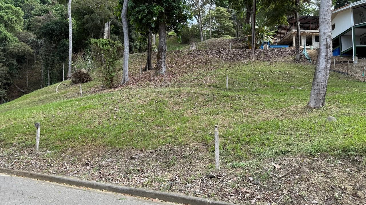 IMG-20250206-WA0009