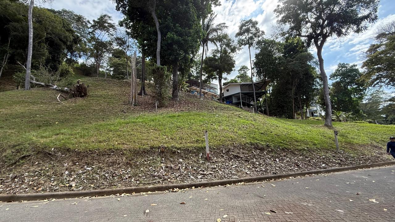 IMG-20250206-WA0010